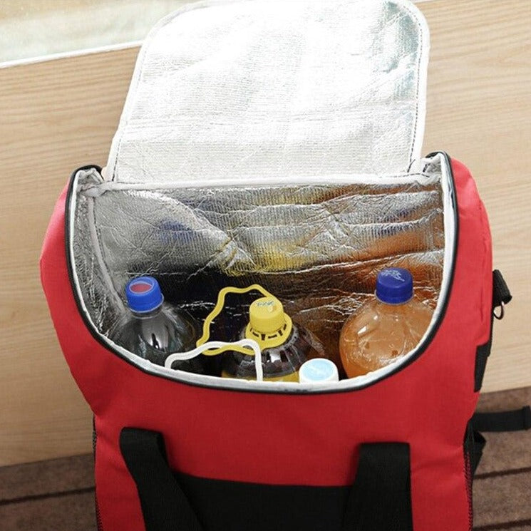 Sac Isotherme Haute Qualité (Petit Format) Froids